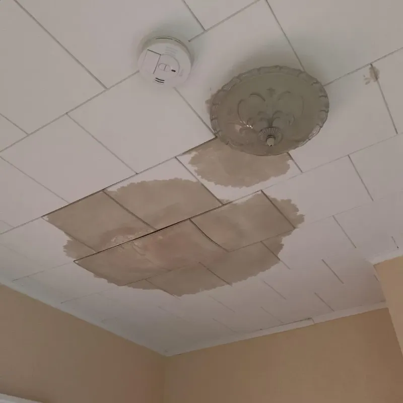 Ceiling Water Damage Repair in Krotz Springs, LA